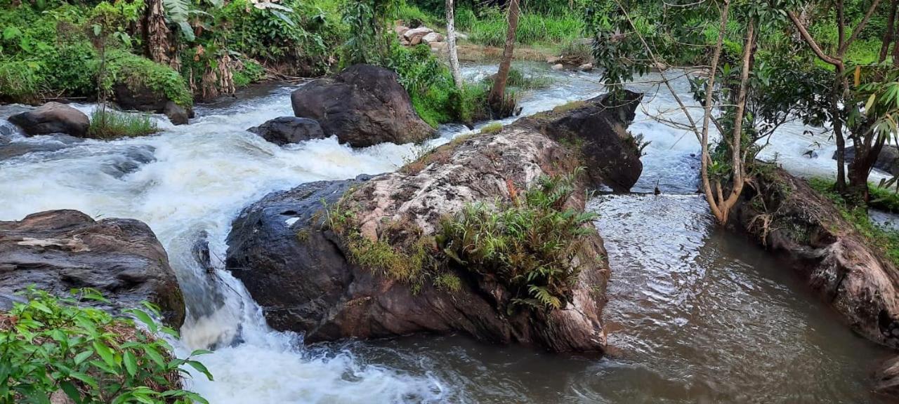 Linn View Home Stay Munnar Bilik gambar