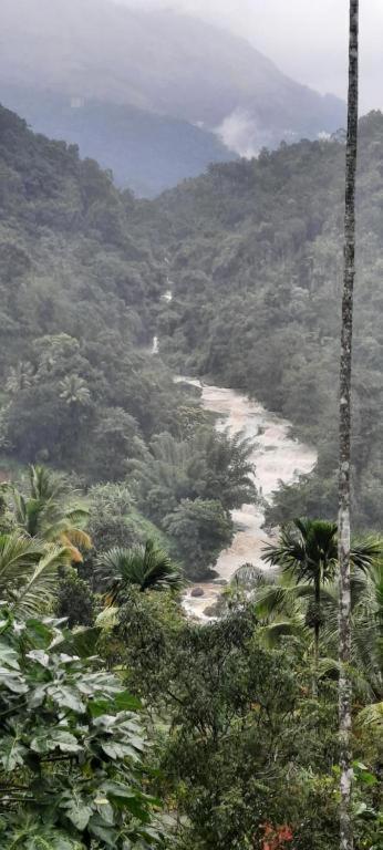 Linn View Home Stay Munnar Luaran gambar